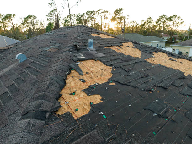 Best Roof Maintenance and Cleaning  in Shannon, GA