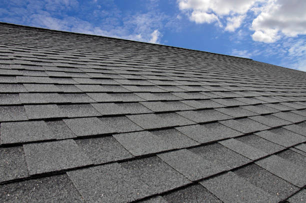 Best Roof Repair  in Shannon, GA