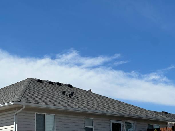 Best Cold Roofs  in Shannon, GA